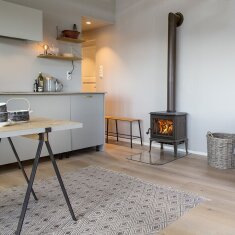 Kaminofen Gussofen Jotul F 100 Eco.2 LL - 4,9 kW - Schwarz